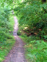 Sep 2013: Sleeper bridge, 3A north